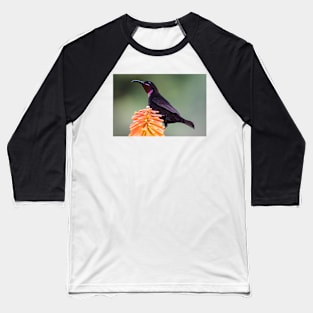 Amethyst Sunbird, South Africa Baseball T-Shirt